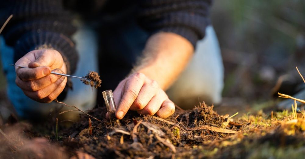 ‘Forever Chemicals’ Impact Livelihood Of North Texas Farmers