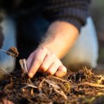 ‘Forever Chemicals’ Impact Livelihood Of North Texas Farmers