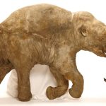 50,000-Year-Old Baby Mammoth Found in Siberia, Offering Insights Into the Ice Age