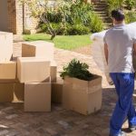 Texas Ranks No. 2  In The Southern Migration Wave Of 2023