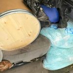 Mexico Announces Record Fentanyl Seizure After Trump’s Tariff Threat