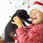 ‘Home For The PAW-lidays’: Fort Worth Hosts Adoption Drive To Ease Shelter Overcrowding