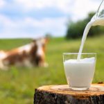 USDA Mandates Nationwide Testing Of Milk To Combat Bird Flu Outbreak