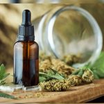 Lt. Gov. Dan Patrick Proposes Ban On All THC Products