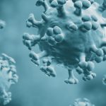 First Severe Bird Flu Case In U.S. Confirmed