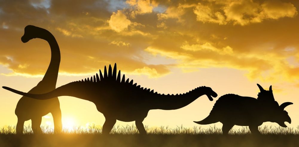 Unearthed: A 166-Million-Year-Old ‘Dinosaur Highway’ Revealed