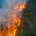 California Wildfires Force Mass Evacuations, Raise Alarm Across Los Angeles County
