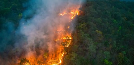 California Wildfires Force Mass Evacuations, Raise Alarm Across Los Angeles County