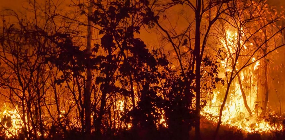 Santa Ana Winds, Dry Conditions Fuel Fires Scorching Through Southern California