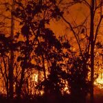 Santa Ana Winds, Dry Conditions Fuel Fires Scorching Through Southern California