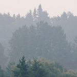 California Wildfires Force Postponement Of Sporting Events