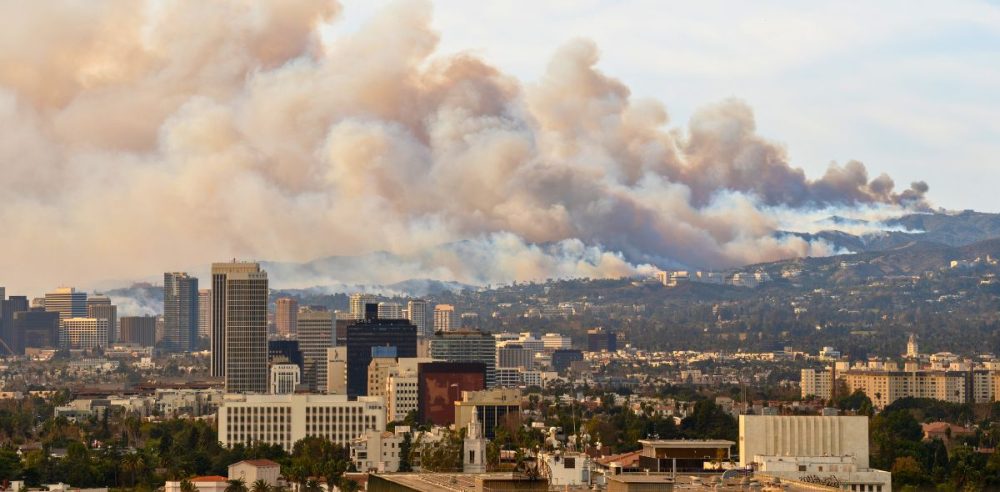 LA Fires Bring Out Brazen Looters