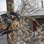 Governor Abbott Urges Texans To Report Winter Weather Damages