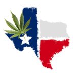 Texas Agriculture Commissioner Sid Miller Calls For Clearer Cannabis Laws