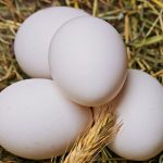 A Bad Egg: Biden Administration Blamed For Egg Price Crisis 