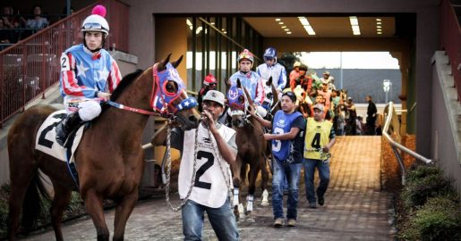 Texas Racing Commission’s Ongoing Controversy