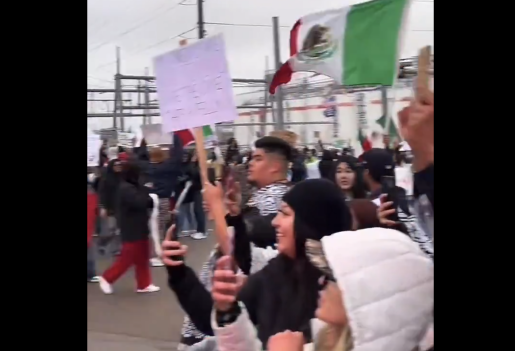 Pro-Illegal Immigration Protesters Cause Chaos On Dallas City Streets