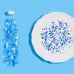 Plastic Shards May Be Increasing In Human Brains