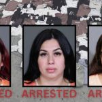 Three Women Arrested In $20K Retail Theft Scheme In Plano