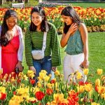 Dallas Blooms: Celebrate 40 Years Of Floral Magic At Dallas Arboretum