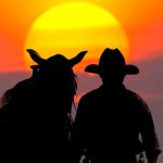 Texas Or Bust: Lone Star Living