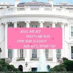 Trump And Homan’s Tough Love: Valentine’s Day Message To Illegal Aliens