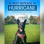 America’s Most Patriotic Pup Passes Away