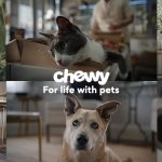 Chewy Inc. Plans Major Job Cuts In Dallas Fulfillment Center