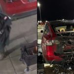 More ‘Trans’ Terror At Tesla Dealership?