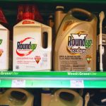 Georgia Jury Orders $2.1B Payout In Roundup Weedkiller Lawsuit