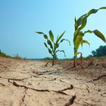 Mexico Faces Looming Deadline To Settle ‘Water Debt’ With America