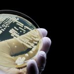 Dangerous Fungus Rapidly Spreading Across U.S. Hospitals