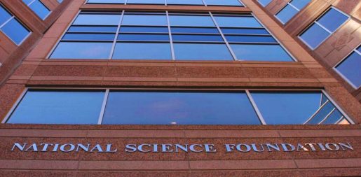 DOGE And National Science Foundation Cut $233 Million Worth Of DEI Grants