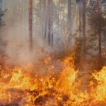 Teen Accused Of Starting Wildfire Smothering NYC Skies