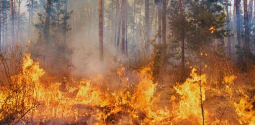 Teen Accused Of Starting Wildfire Smothering NYC Skies