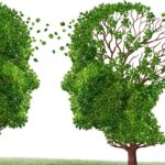 Texas Senate Bill 5 Sparks Debate Over $3 Billion Dementia Research Fund