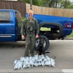 Massive Fentanyl Bust: Tarrant County Deputies Uncover 350,000 Counterfeit Pills In Record-Seizing Traffic Stop