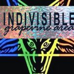 Indivisible’s Agenda: Where Local Protests Attempt To ‘Trump’ Principles