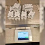 Border Patrol Flex: 71 Illegal Human Growth Hormones, Steroid Shipments Seized