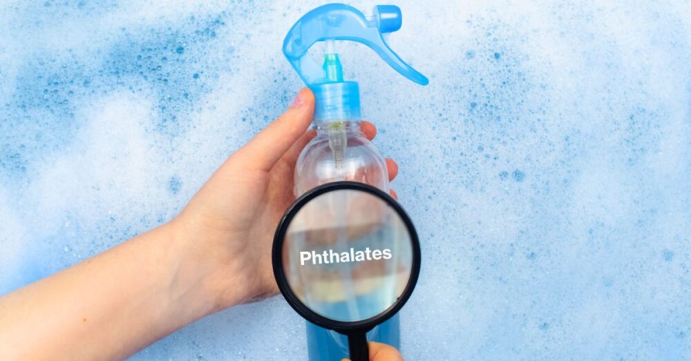 New Study Links Phthalate Exposure To 356,000 Global Deaths Annually