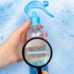 New Study Links Phthalate Exposure To 356,000 Global Deaths Annually