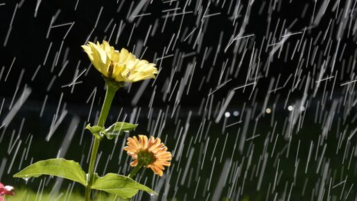 Severe Thunderstorms Expected This Weekend In Dallas-Fort Worth