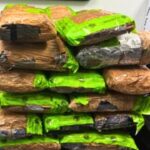 Border Security Gets A Boost: Massive Meth Seizure Marks Kickoff For ‘Big Beautiful Bill’ Blitz