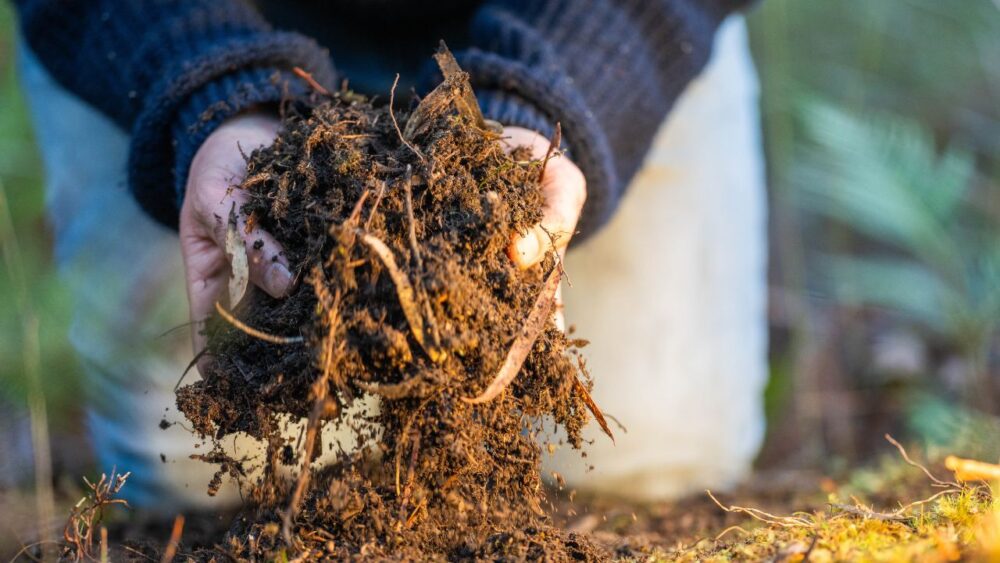 Texas Regenerative Agriculture Research Bill Nears Crucial Vote