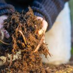 Texas Regenerative Agriculture Research Bill Nears Crucial Vote
