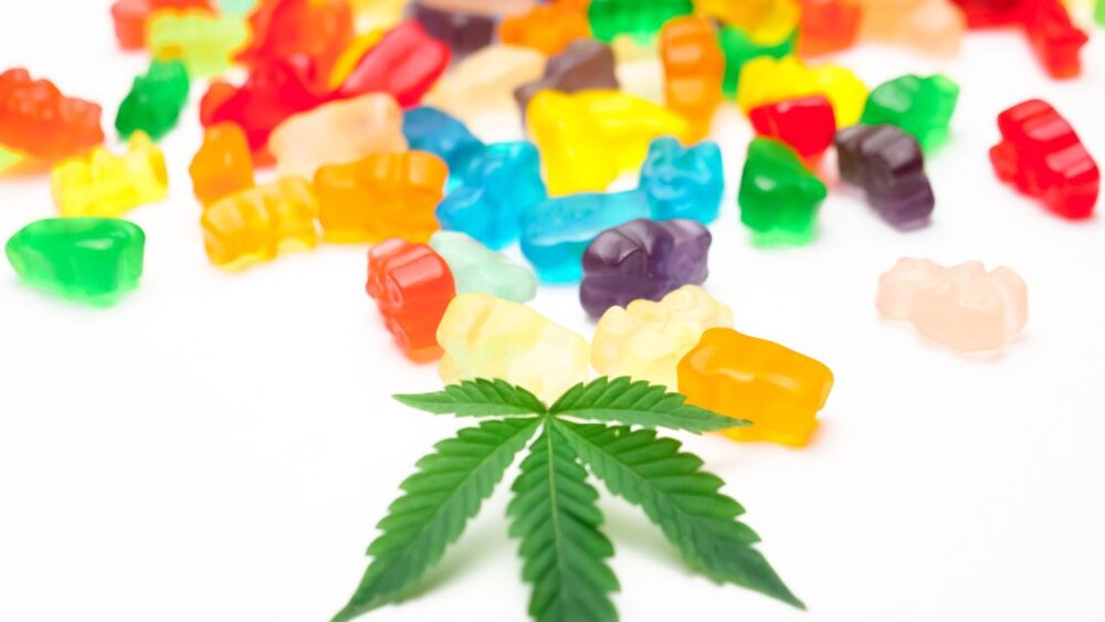 High Hopes Crushed As Denton Nixes Pot Policy
