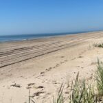 Texas Coastal Restoration Project Wins National Beach Award