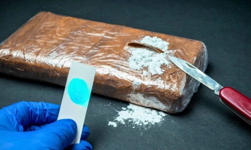 CBP’s Border Bust: Fugitive Child Rapist Caught, 48 Pounds Of Cocaine Seized