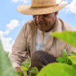 Trump Hints At Immigration Policy Shift To Protect Farmers In America