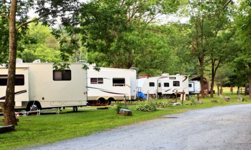 Texas Woman Dies From Brain-Eating Amoeba After Using RV Tap Water For Sinus Rinse